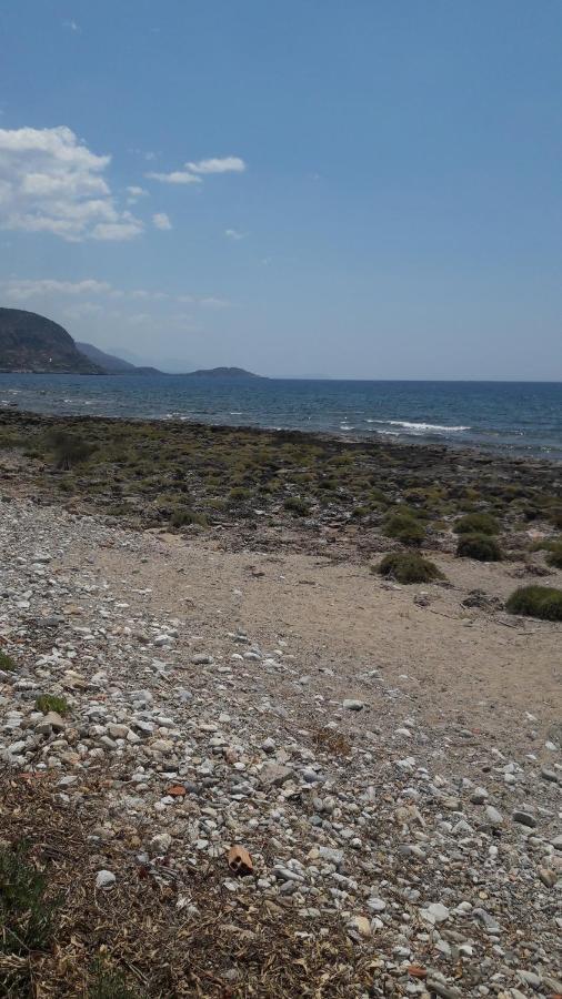 Παραθαλάσσιο Studio Agios Nikolaos  Exterior foto